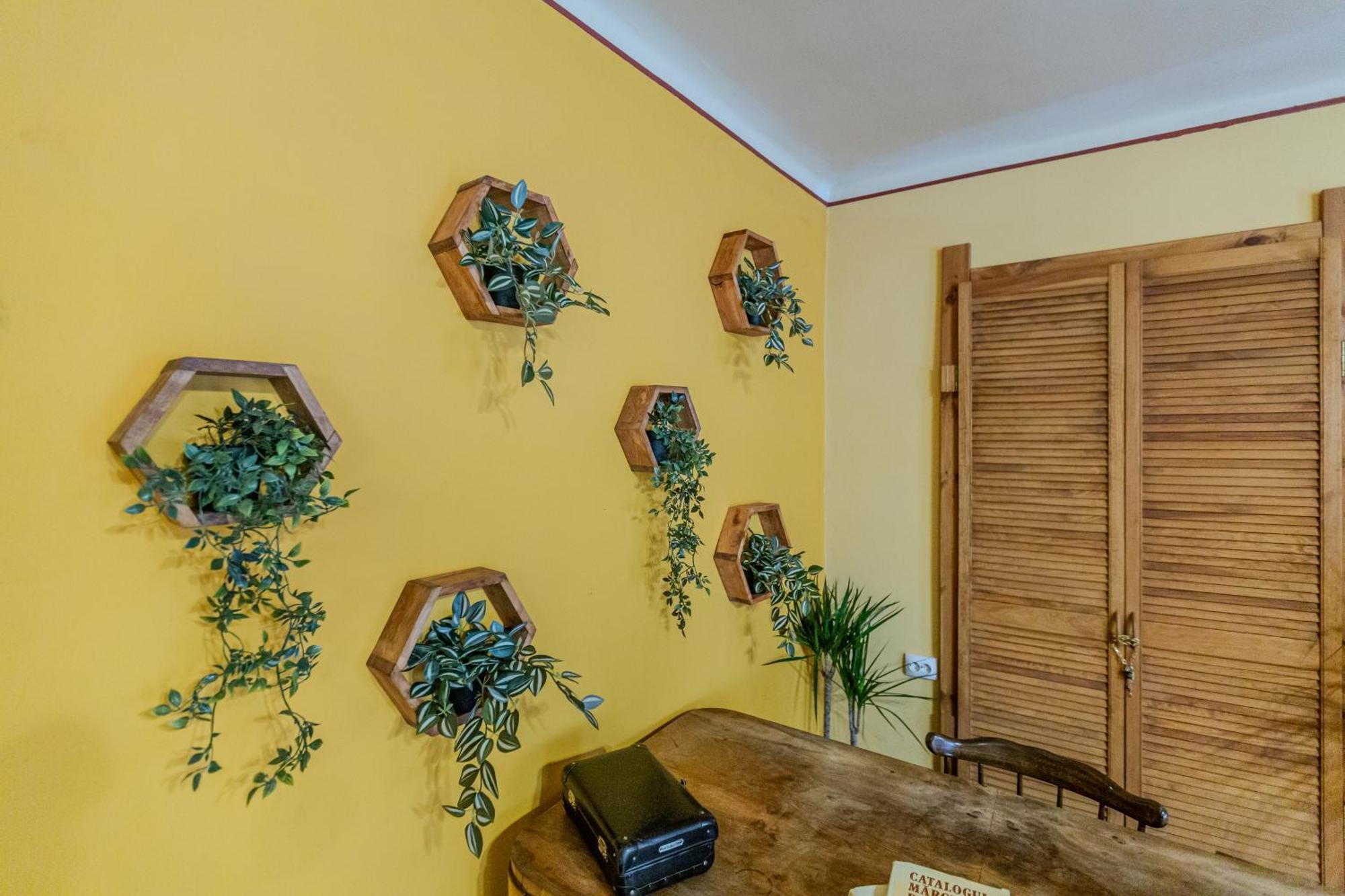 Apartamento Tree House-Old Town Braşov Exterior foto